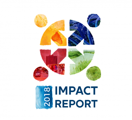 Workforce Solutions 2018 Impact Report